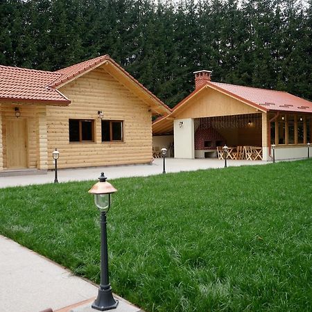 Pensiunea Floarea De Colt Nucşoara Exterior foto