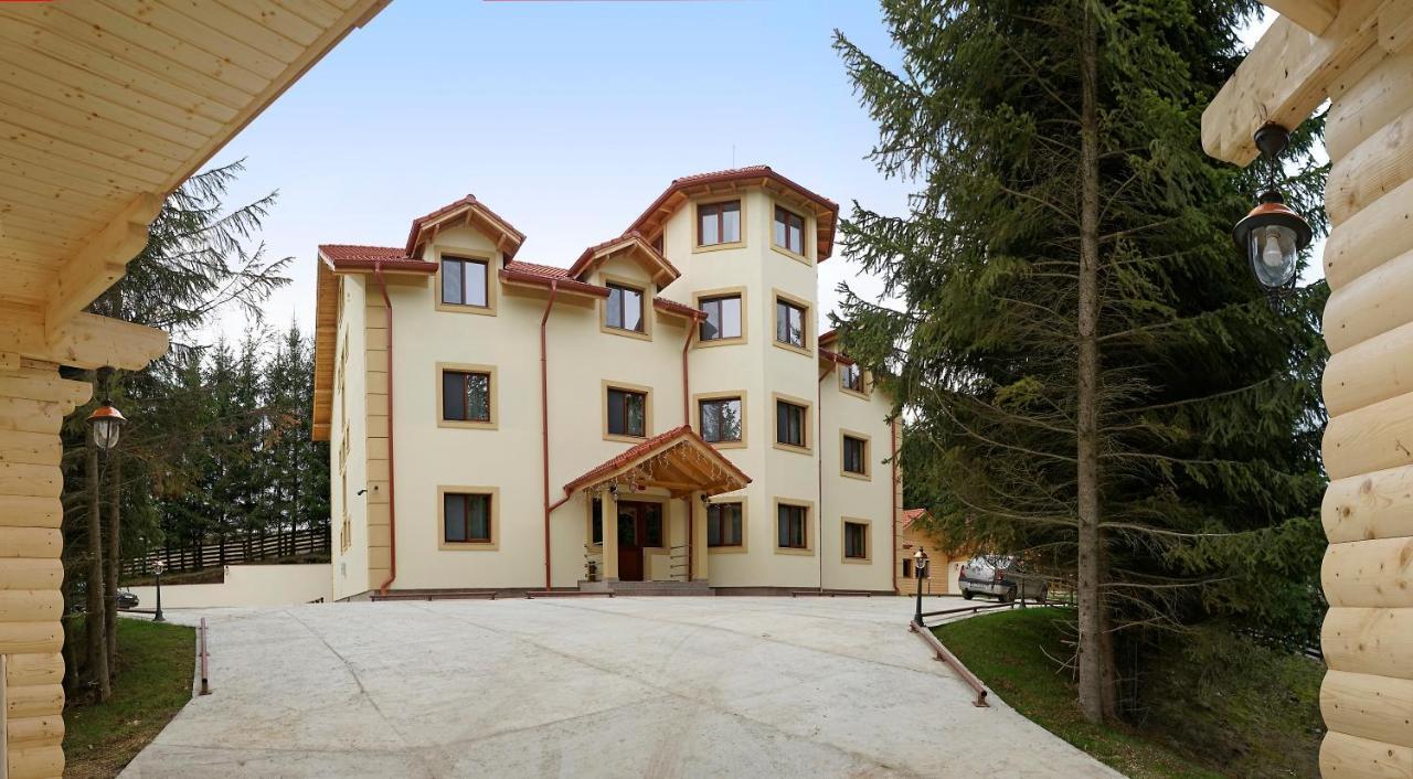 Pensiunea Floarea De Colt Nucşoara Exterior foto