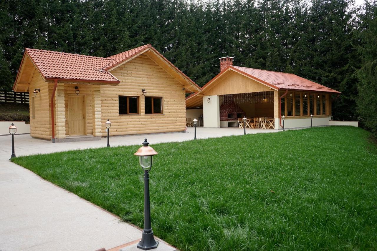 Pensiunea Floarea De Colt Nucşoara Exterior foto